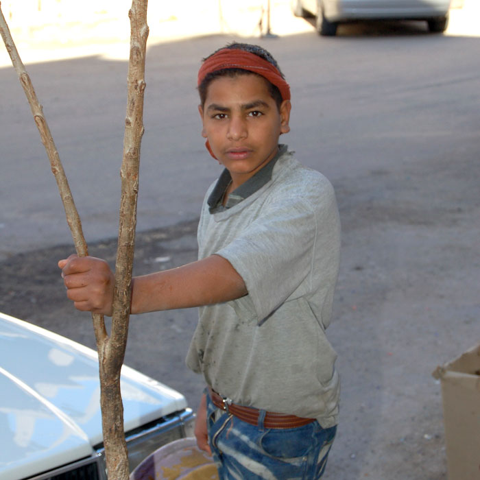 index.php?t=getfile&id=224353&private=0