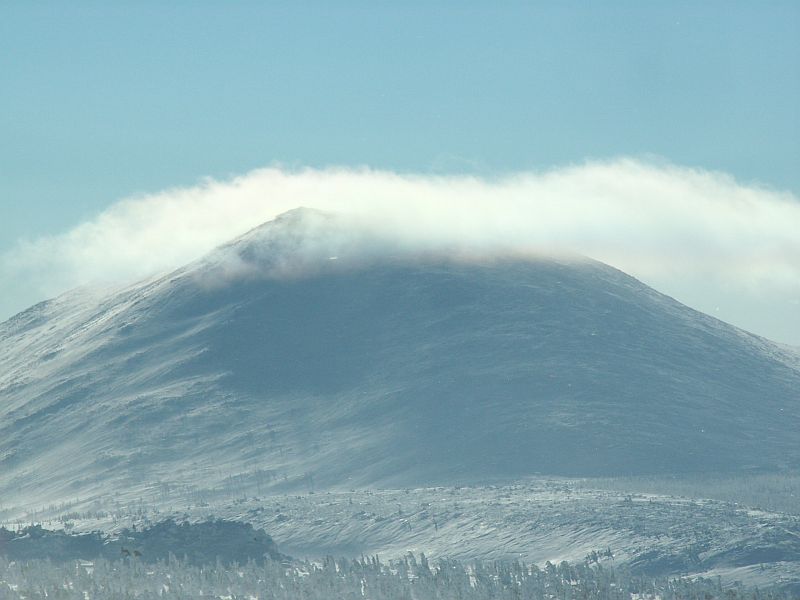 index.php?t=getfile&id=262338&private=0