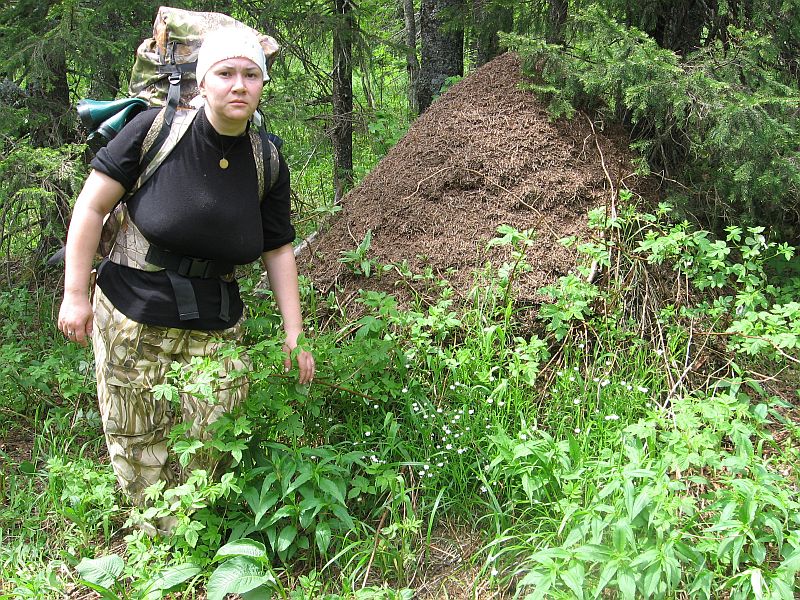 index.php?t=getfile&id=290594&private=0