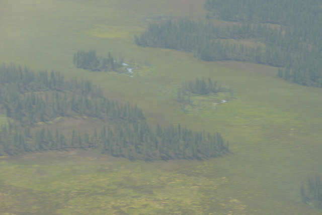 index.php?t=getfile&id=448808&private=0