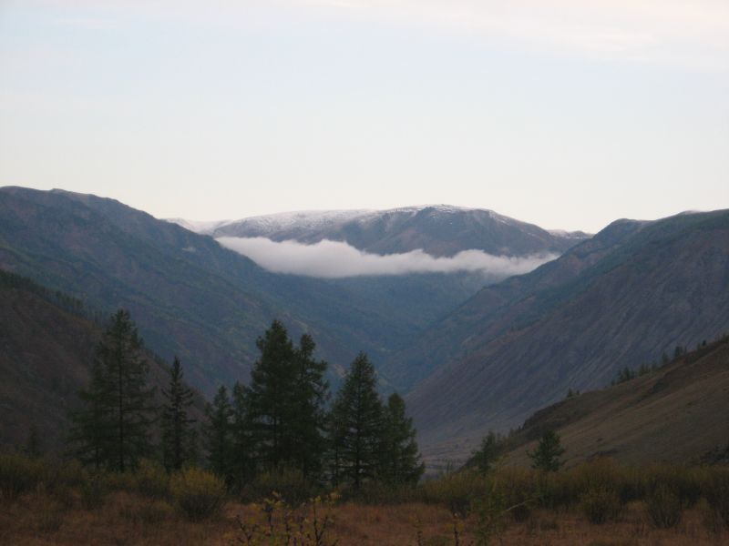 index.php?t=getfile&id=451590&private=0