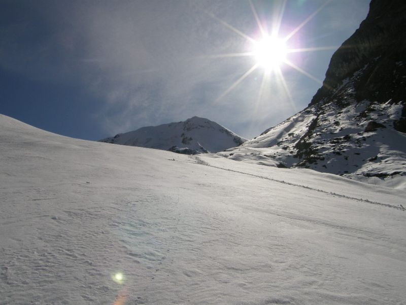 index.php?t=getfile&id=451705&private=0