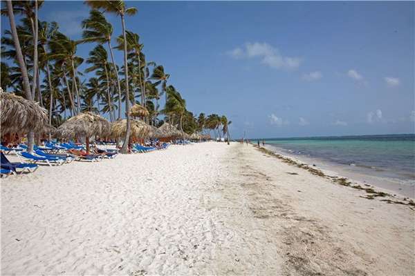 index.php?t=getfile&id=464143&private=0