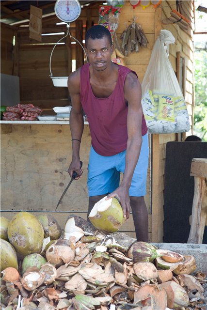 index.php?t=getfile&id=464153&private=0