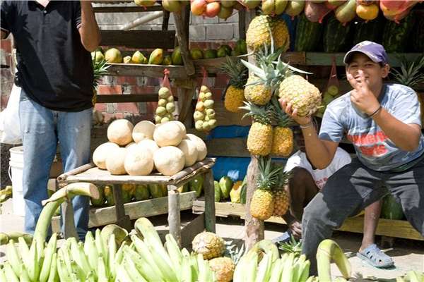 index.php?t=getfile&id=464155&private=0