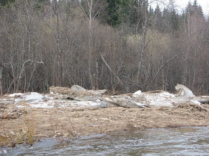 index.php?t=getfile&id=484354&private=0