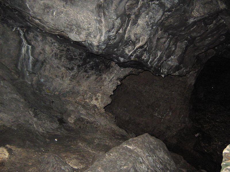 index.php?t=getfile&id=484382&private=0