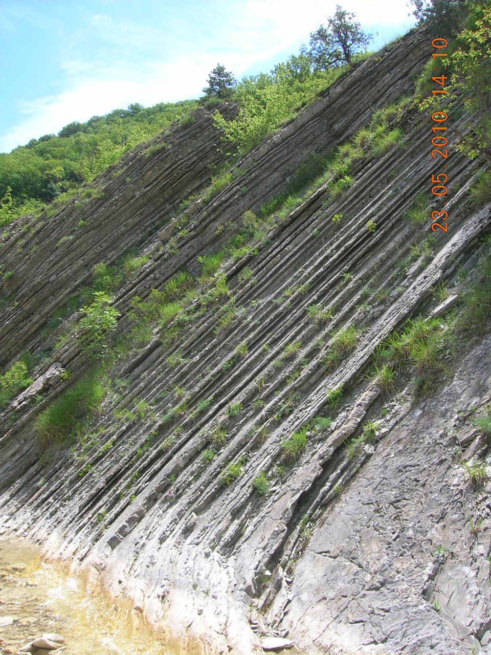 index.php?t=getfile&id=486996&private=0