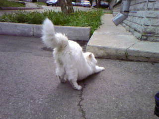 index.php?t=getfile&id=51366&private=0