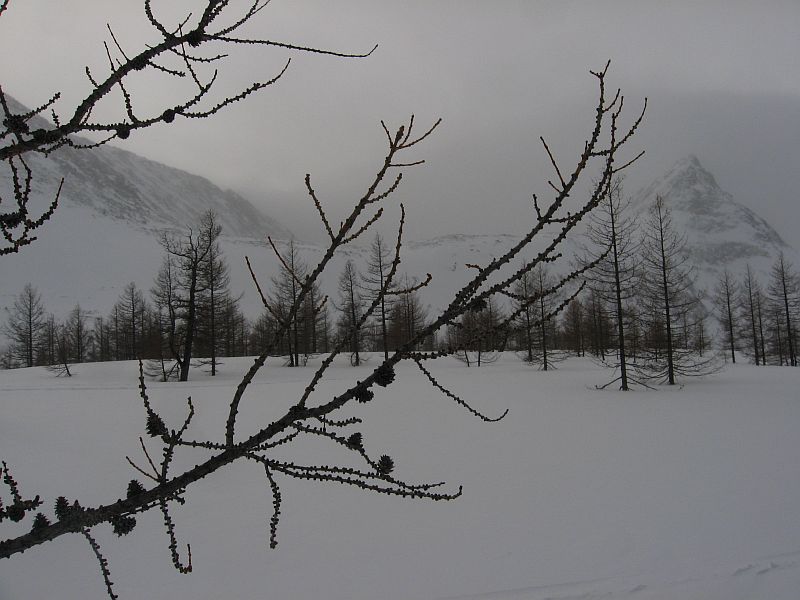 index.php?t=getfile&id=514577&private=0