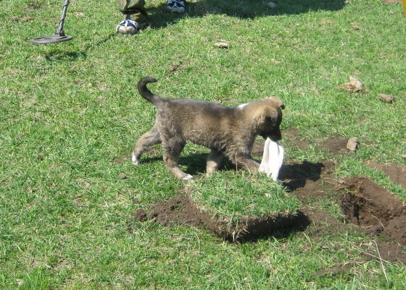 index.php?t=getfile&id=521356&private=0