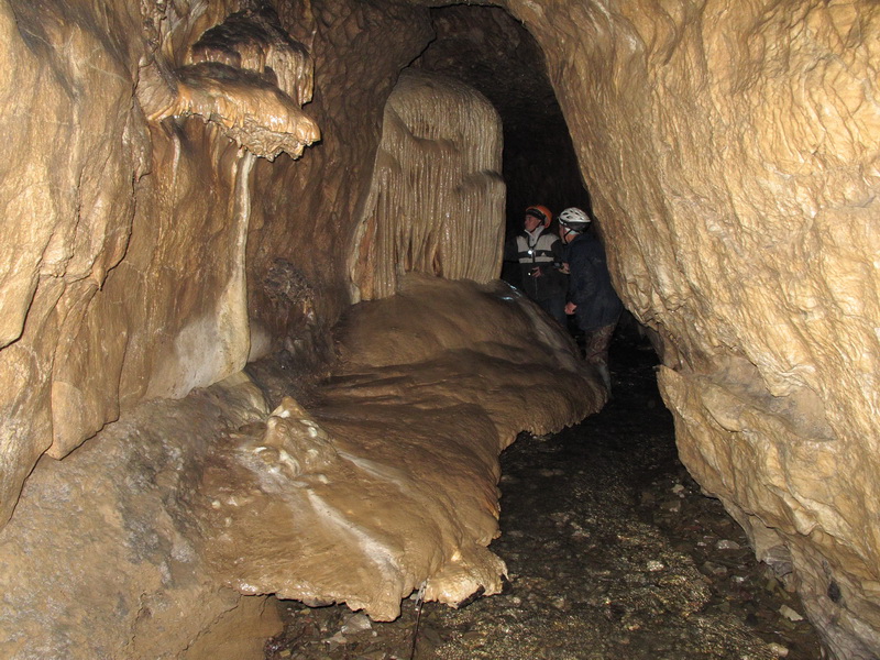 index.php?t=getfile&id=525361&private=0