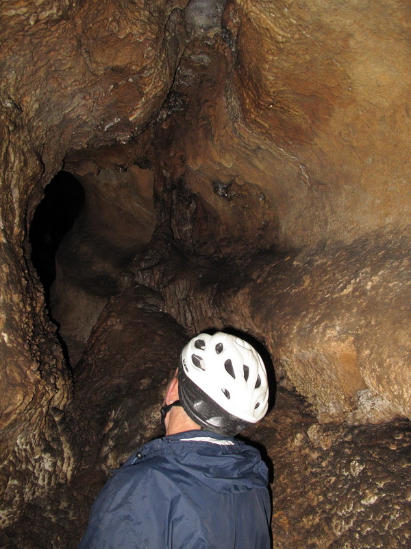 index.php?t=getfile&id=525723&private=0