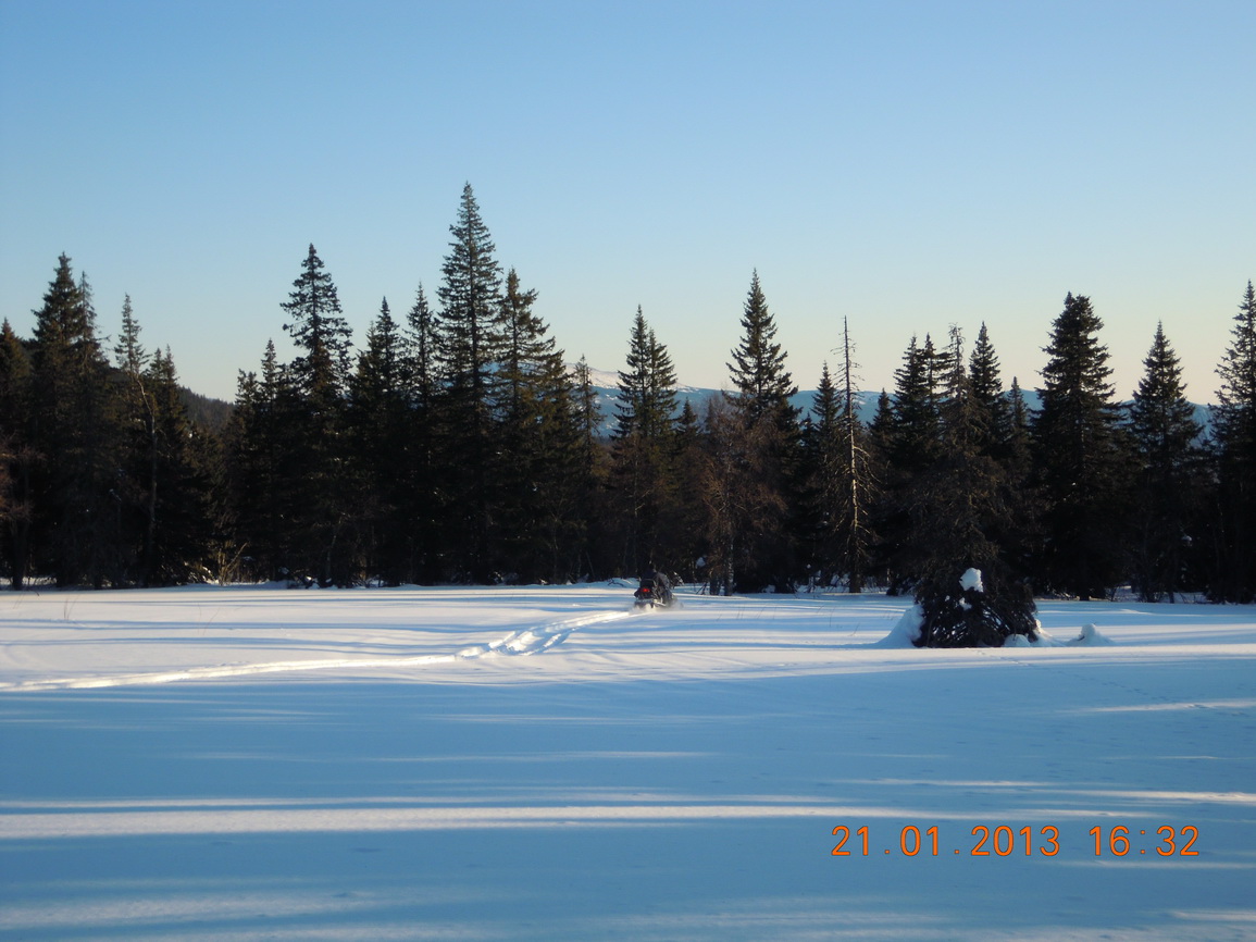 index.php?t=getfile&id=545607&private=0