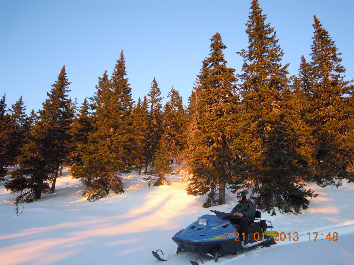 index.php?t=getfile&id=545613&private=0