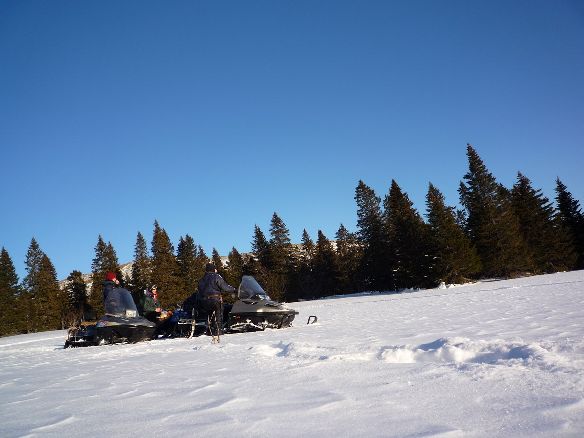 index.php?t=getfile&id=545624&private=0