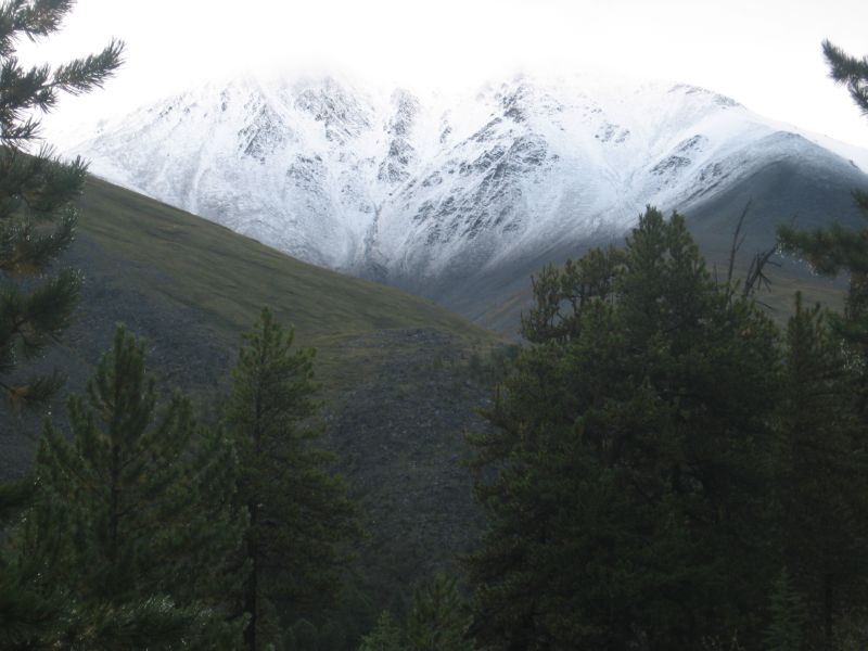 index.php?t=getfile&id=569348&private=0