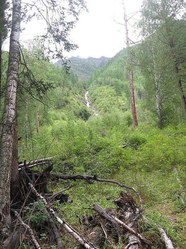 index.php?t=getfile&id=569372&private=0