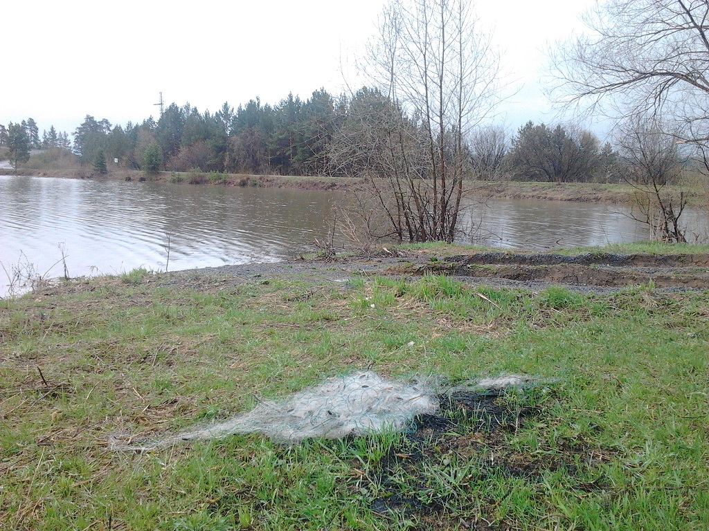 index.php?t=getfile&id=597706&private=0