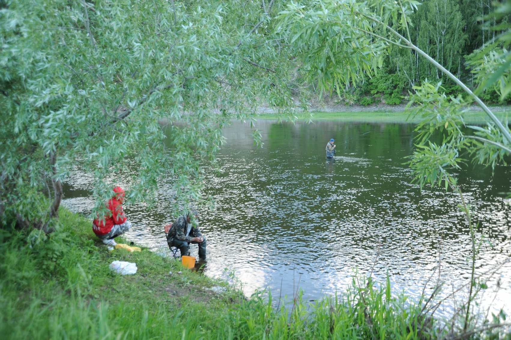 index.php?t=getfile&id=601834&private=0