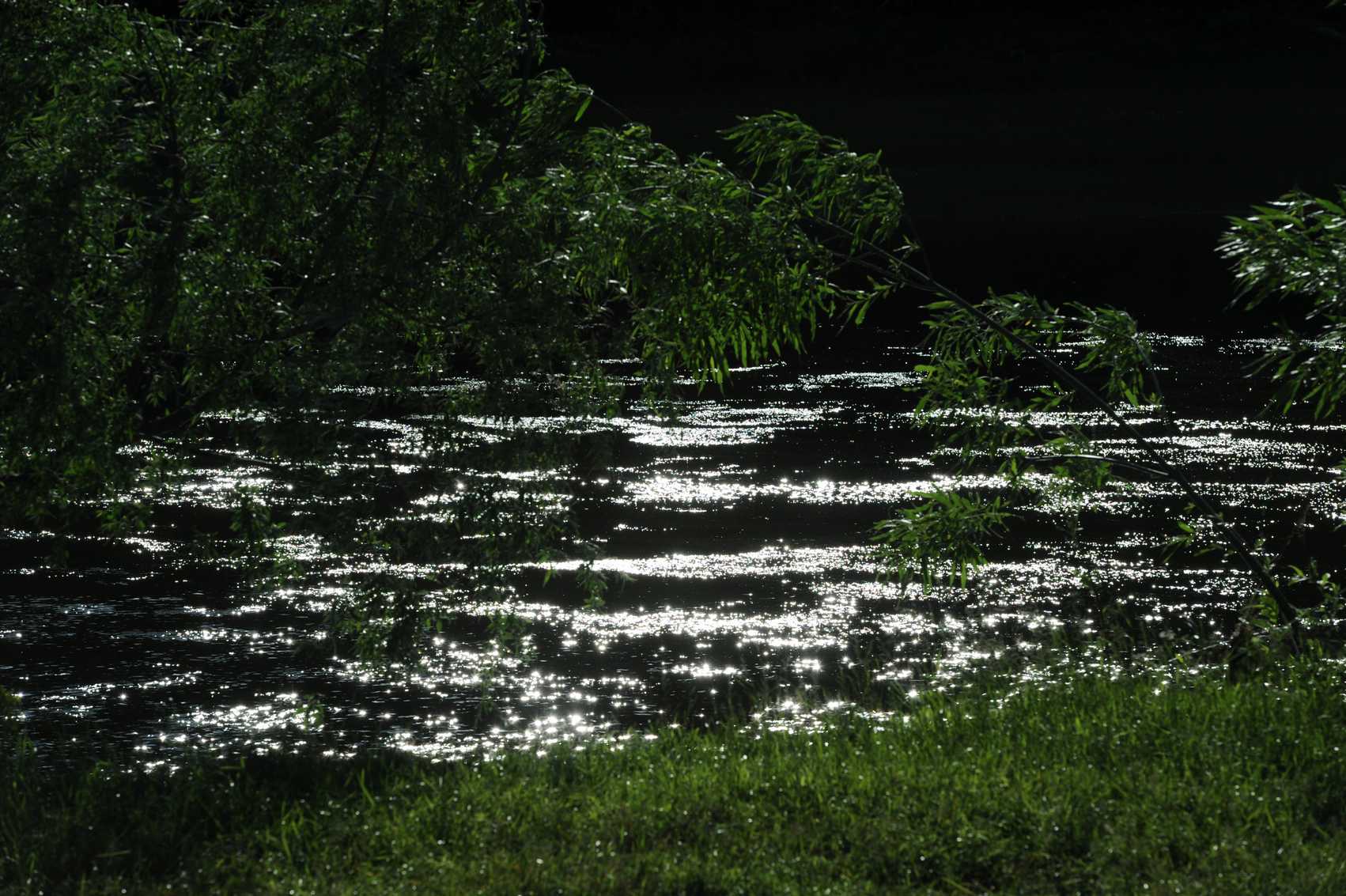 index.php?t=getfile&id=601862&private=0