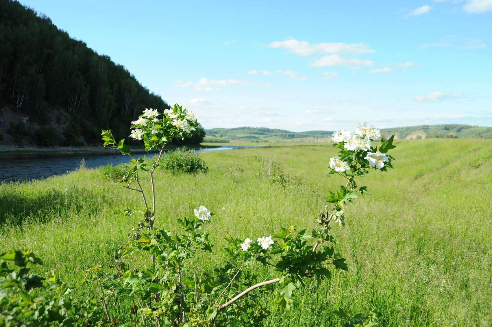 index.php?t=getfile&id=601864&private=0