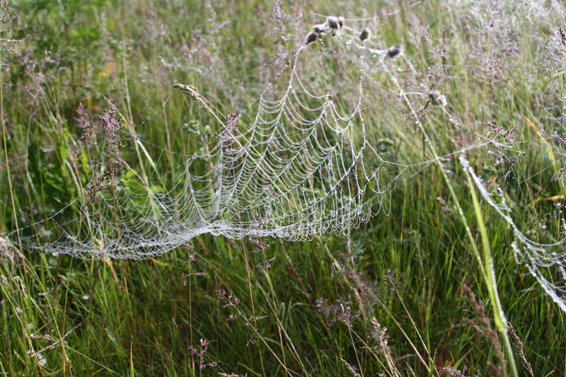 index.php?t=getfile&id=602275&private=0