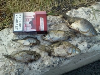 index.php?t=getfile&id=603023&private=0