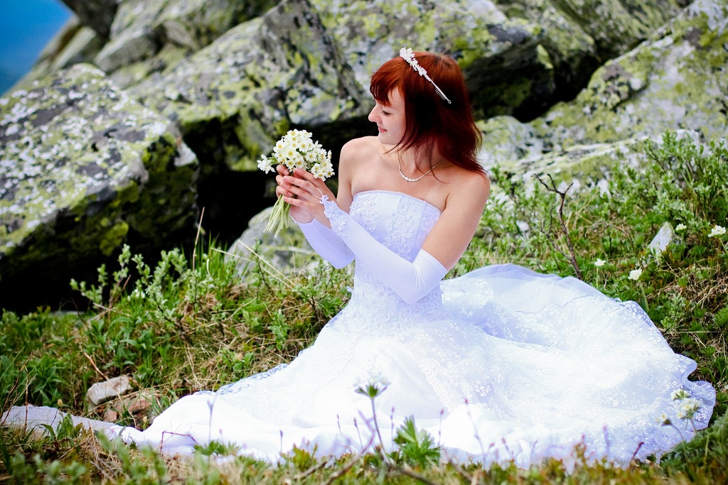 index.php?t=getfile&id=612498&private=0