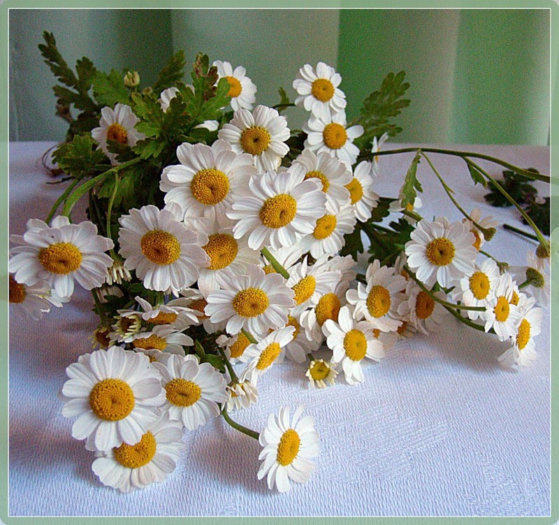 index.php?t=getfile&id=627759&private=0