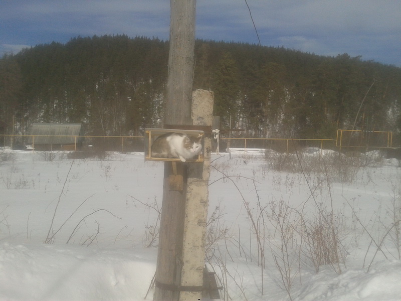 index.php?t=getfile&id=628088&private=0