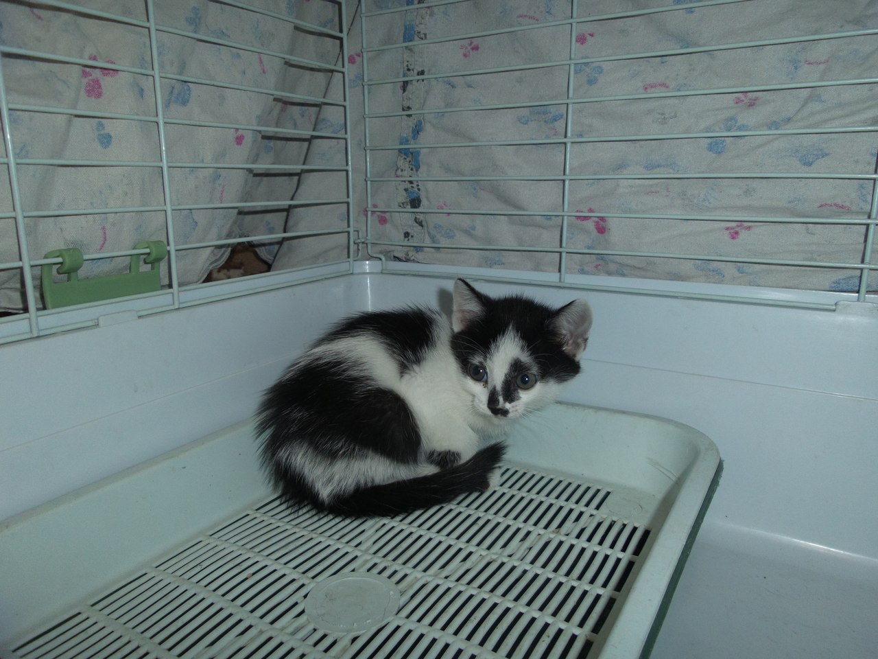 index.php?t=getfile&id=640255&private=0