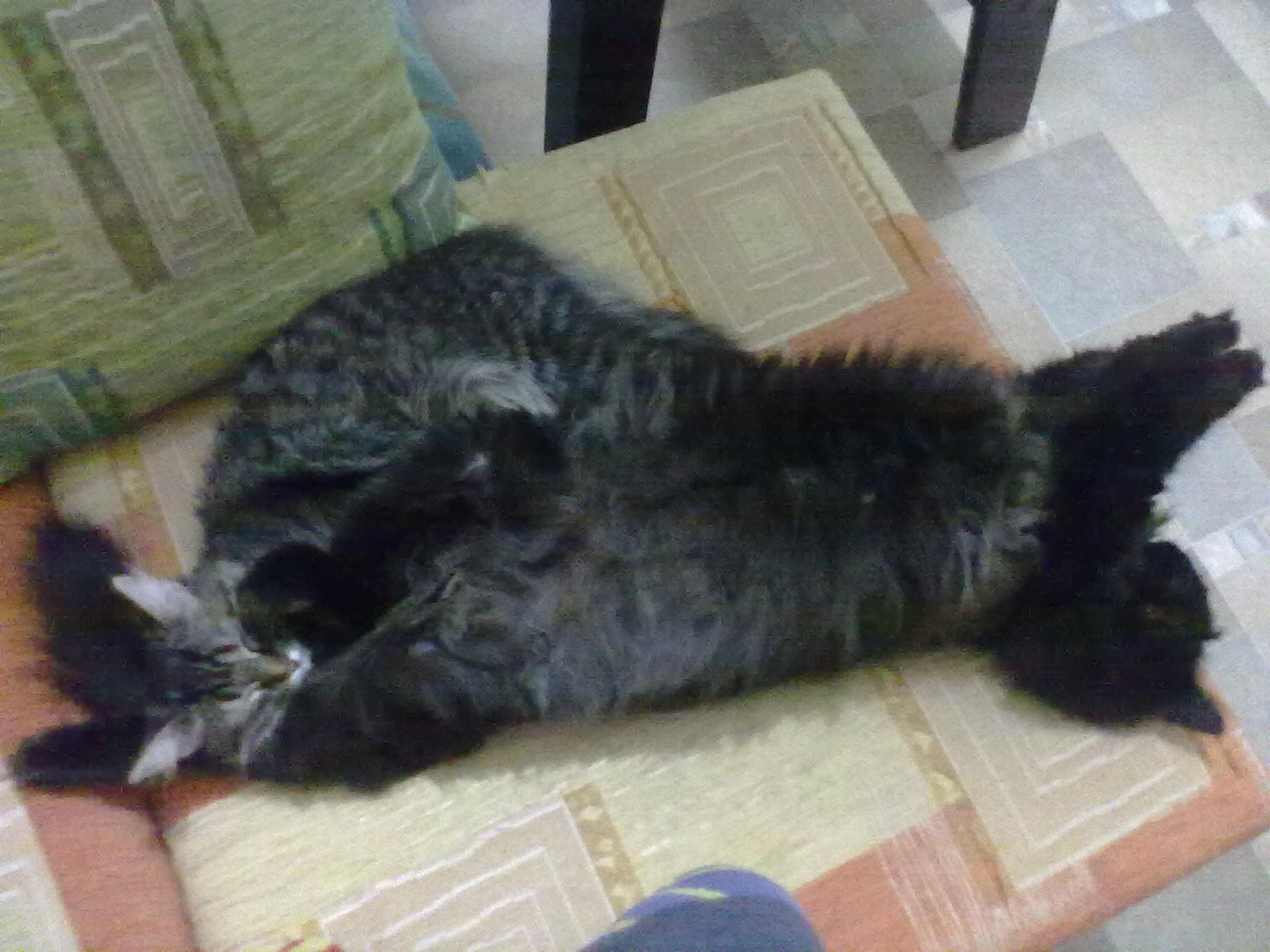 index.php?t=getfile&id=662522&private=0