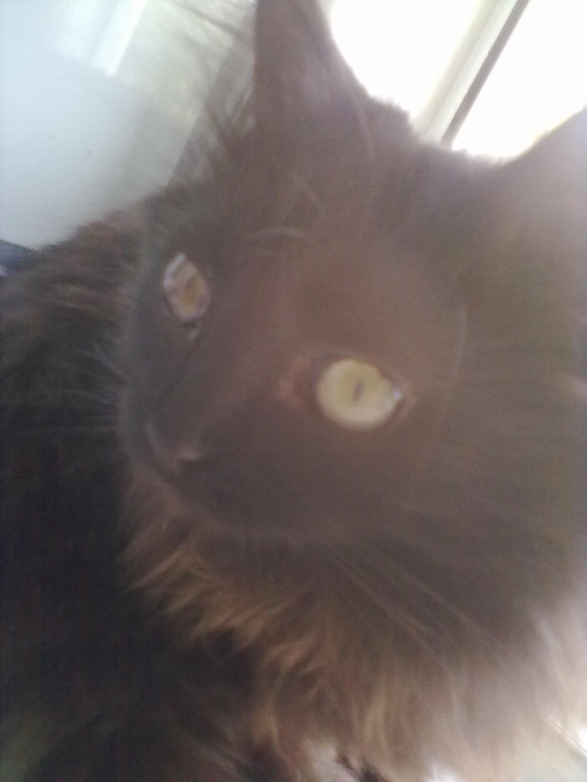 index.php?t=getfile&id=662523&private=0