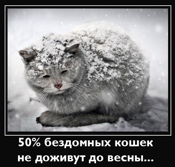 index.php?t=getfile&id=671988&private=0