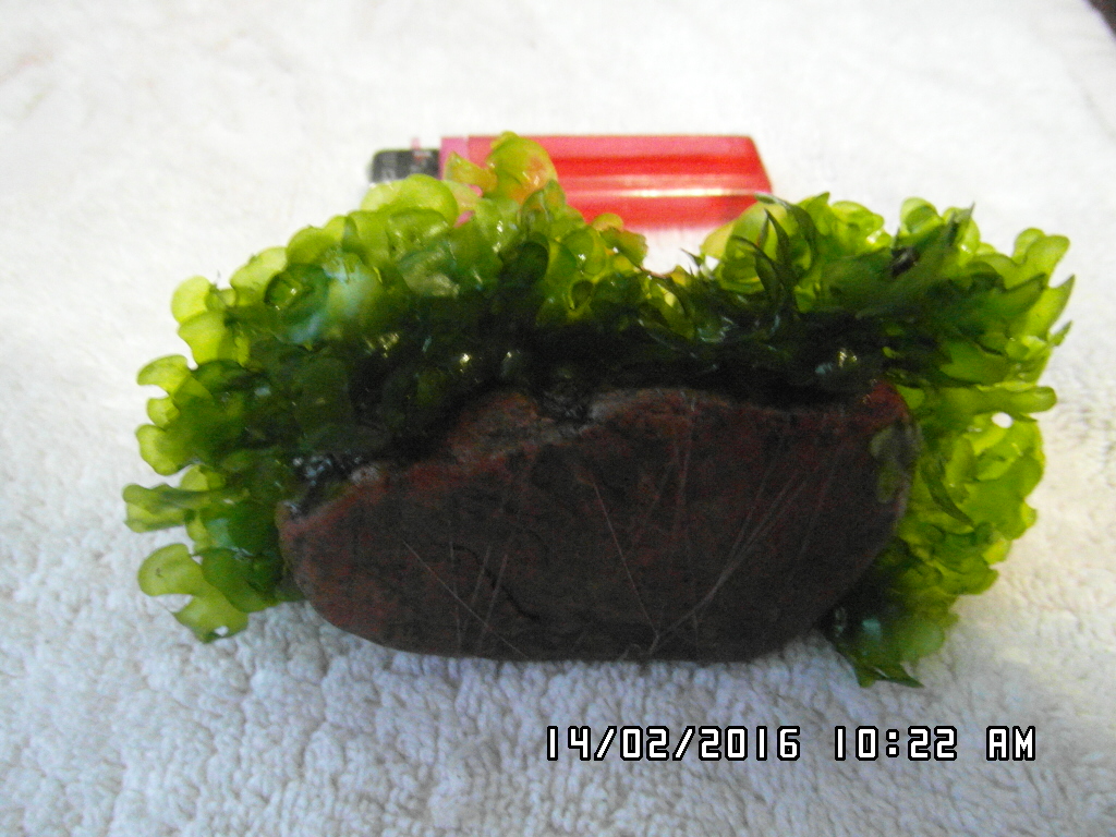 index.php?t=getfile&id=681549&private=0