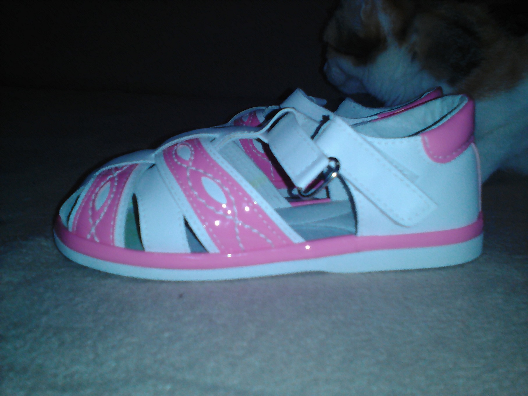 index.php?t=getfile&id=696739&private=0