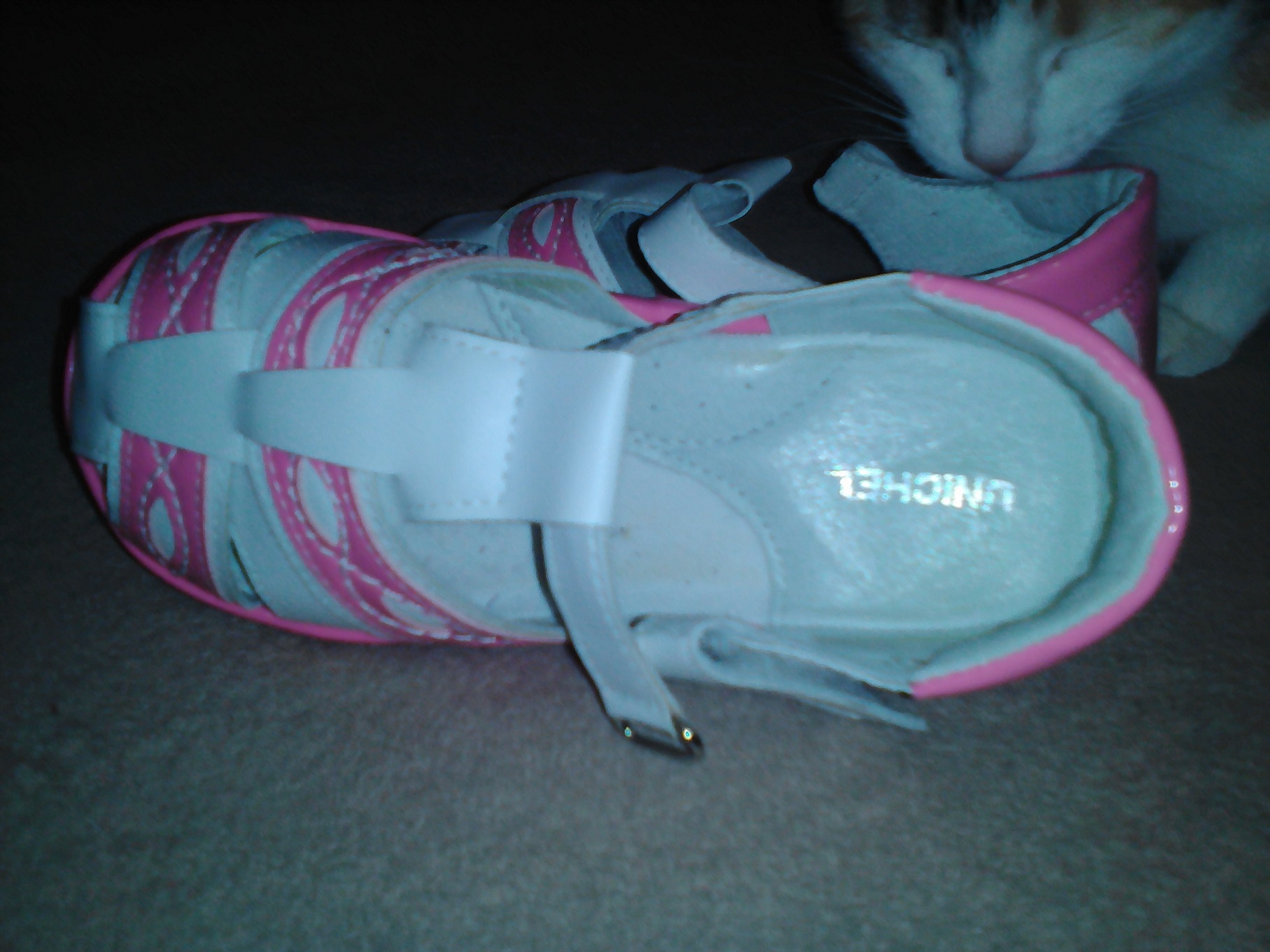 index.php?t=getfile&id=696740&private=0